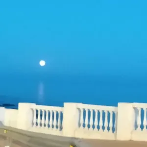 https://plaza-del-remo-seewtbeach.1costadelsol.com